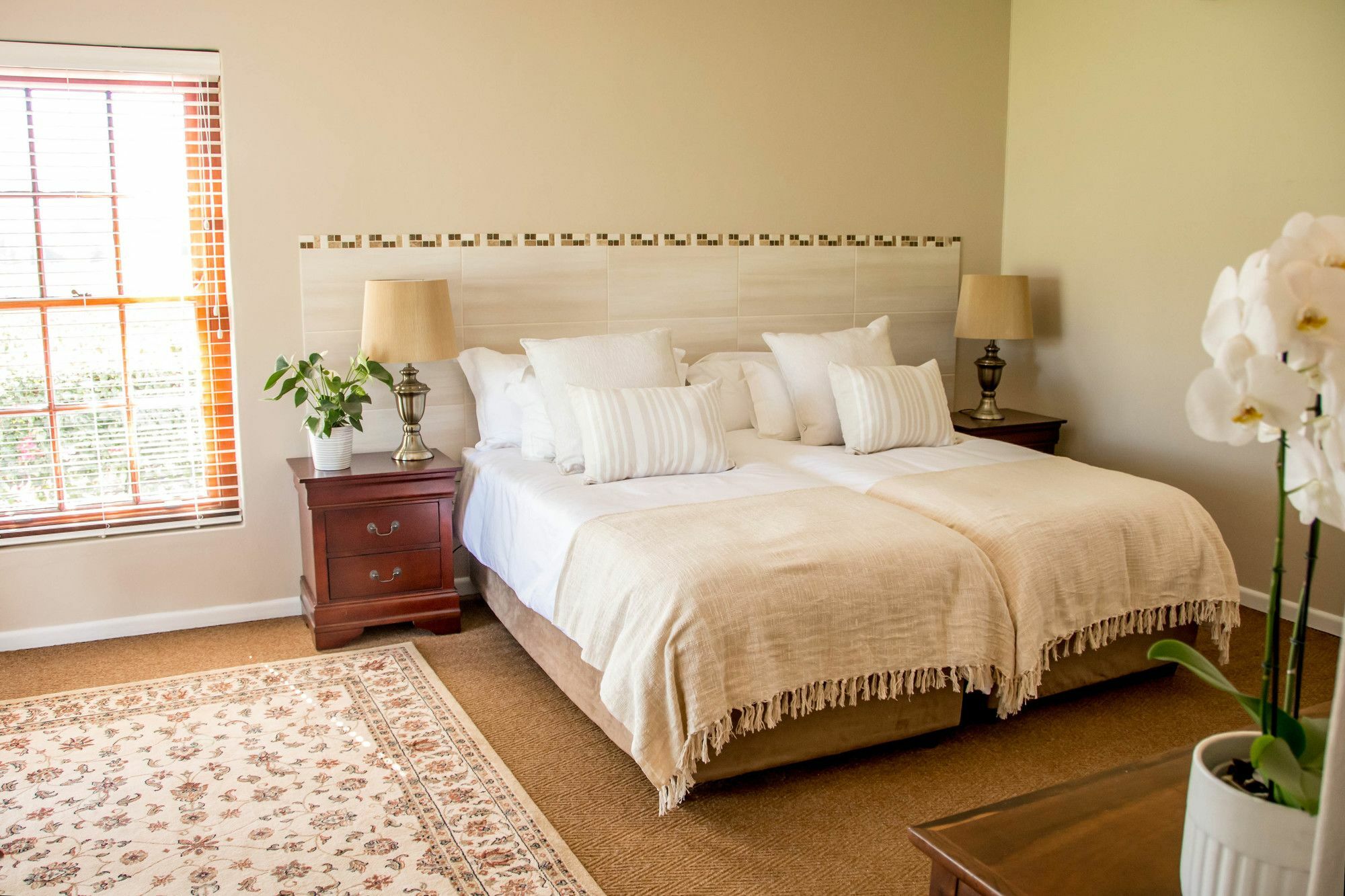 Goedemoed Farm Guest House Paarl Zewnętrze zdjęcie